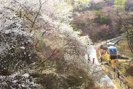 2024 화담숲 예약 가이드