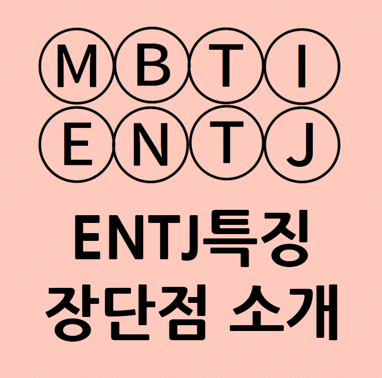 ENTJ특징 장단점과 성격적 특징
