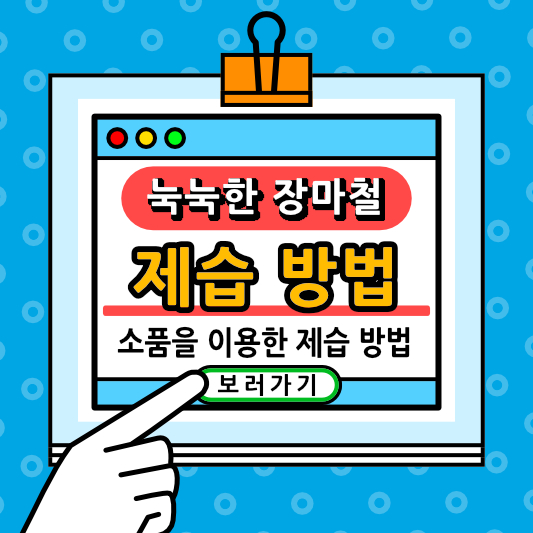 장마철 소품을 이용한 제습방법