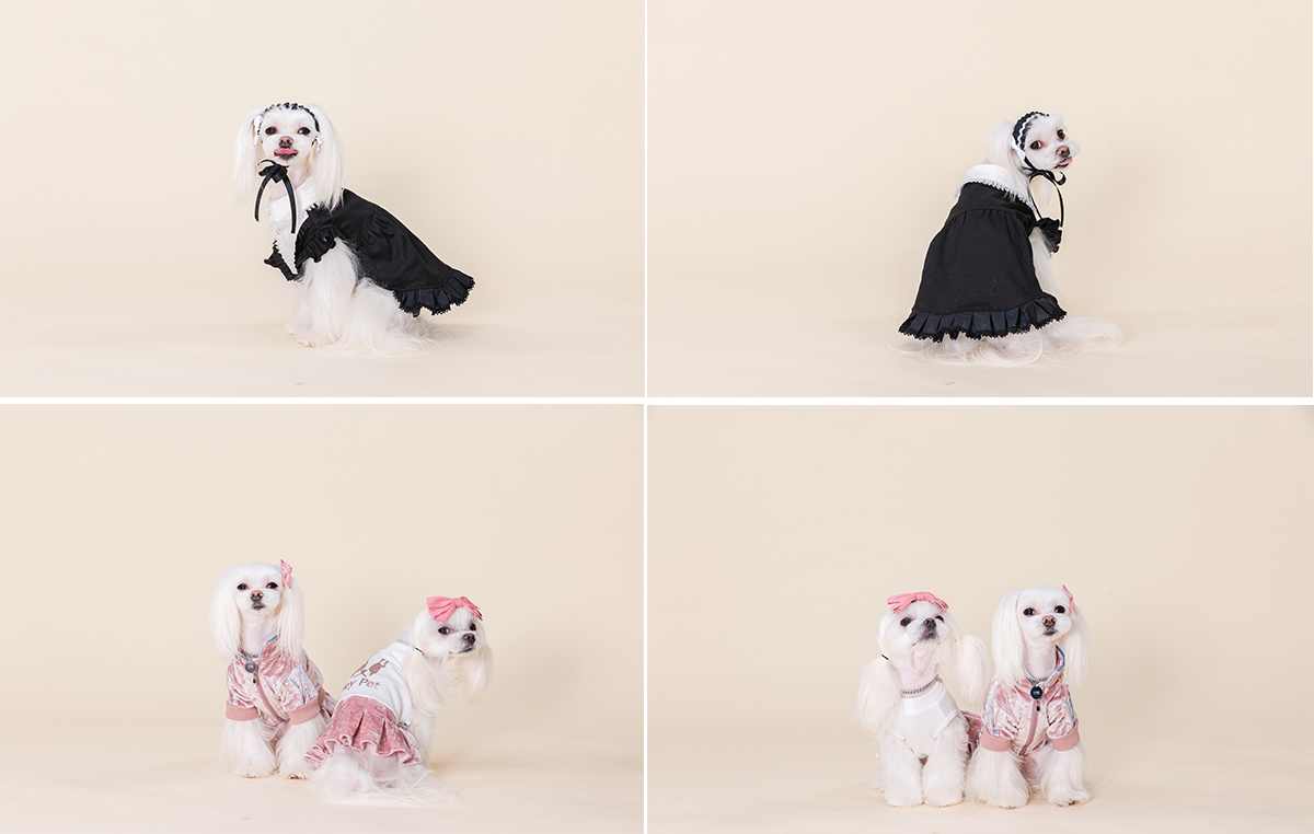 헤이펫(원피스,벨벳 원피스)