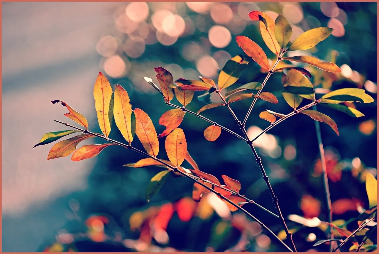 정기예금 금리 가장 높은곳