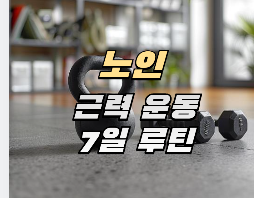 노인운동, 근력운동, 7일루틴, 노인건강, 하체강화, 스트레칭, 실버피트니스, 운동보조도구, 관절보호, 일상운동