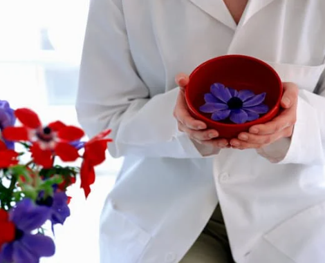 아로마테라피스트 자격증 국내 국제 자격증 알아보기