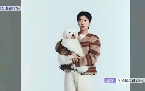 임영웅 
