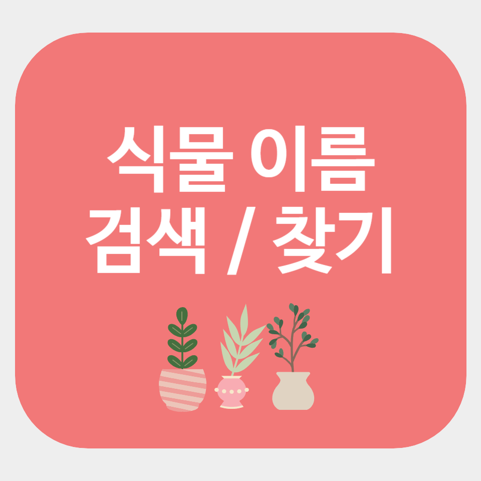 사진으로 꽃이름 찾기