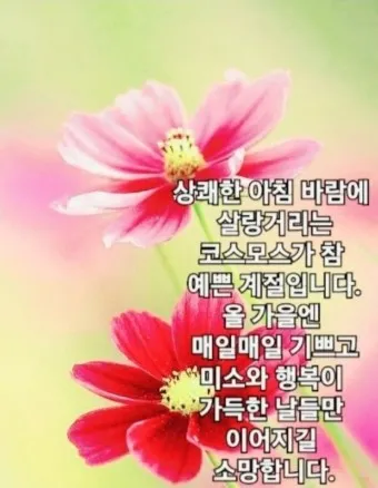 안부인사글 안부 인사말 3월 4월 5월 센스있는 인사말 모음_13