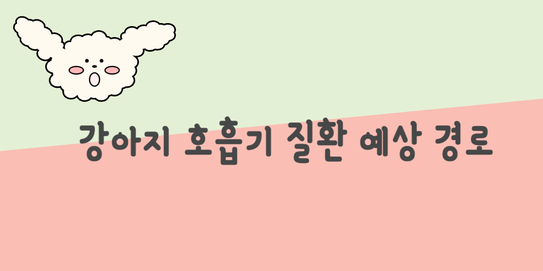 강아지 호흡기 질환 예상결로 안내