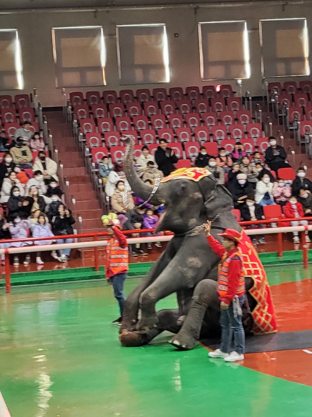 제주도 아이와가볼만한곳, 점보빌리지