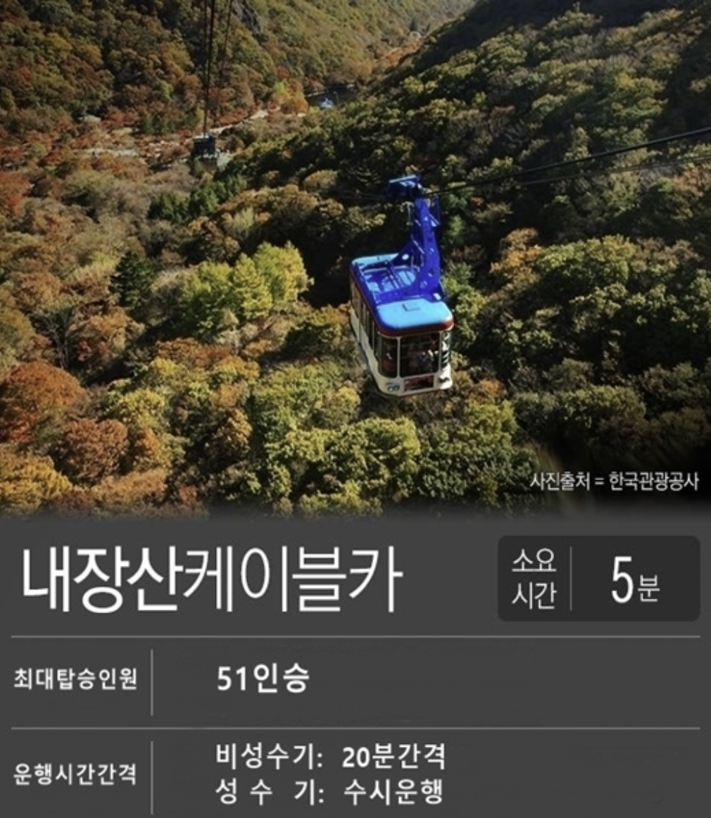 내장산 단풍절정시기