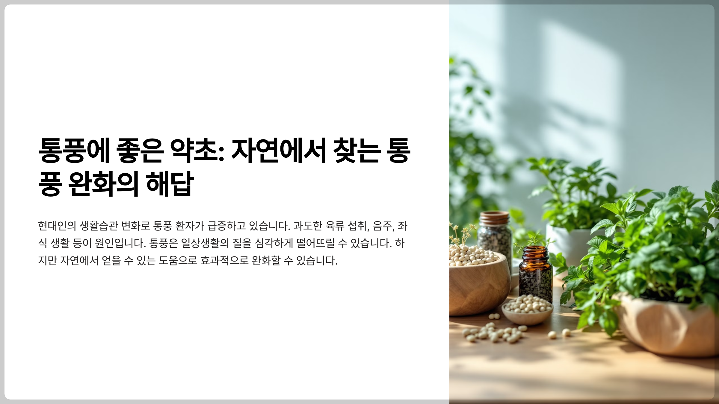 통풍에 좋은 약초