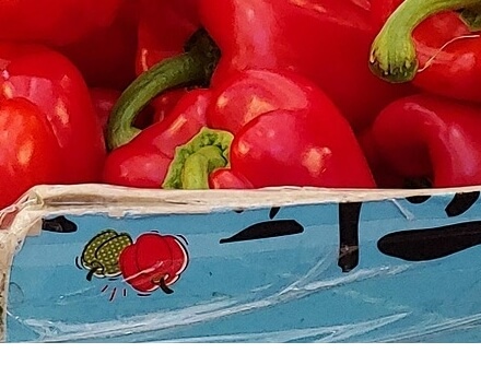 파프리카효능