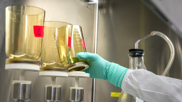 The impact of social determinants of health 5