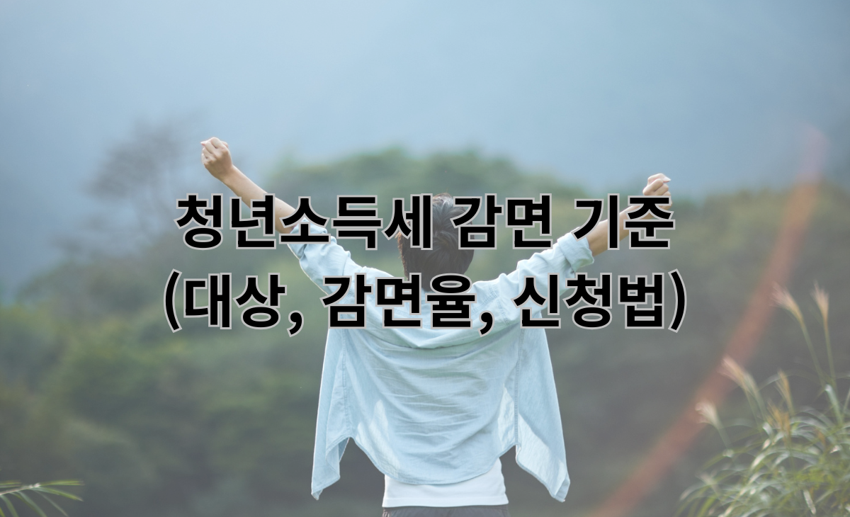 청년소득세 감면 기준 (대상, 감면율, 신청법)