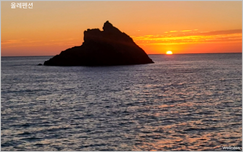 올레펜션 장점 1