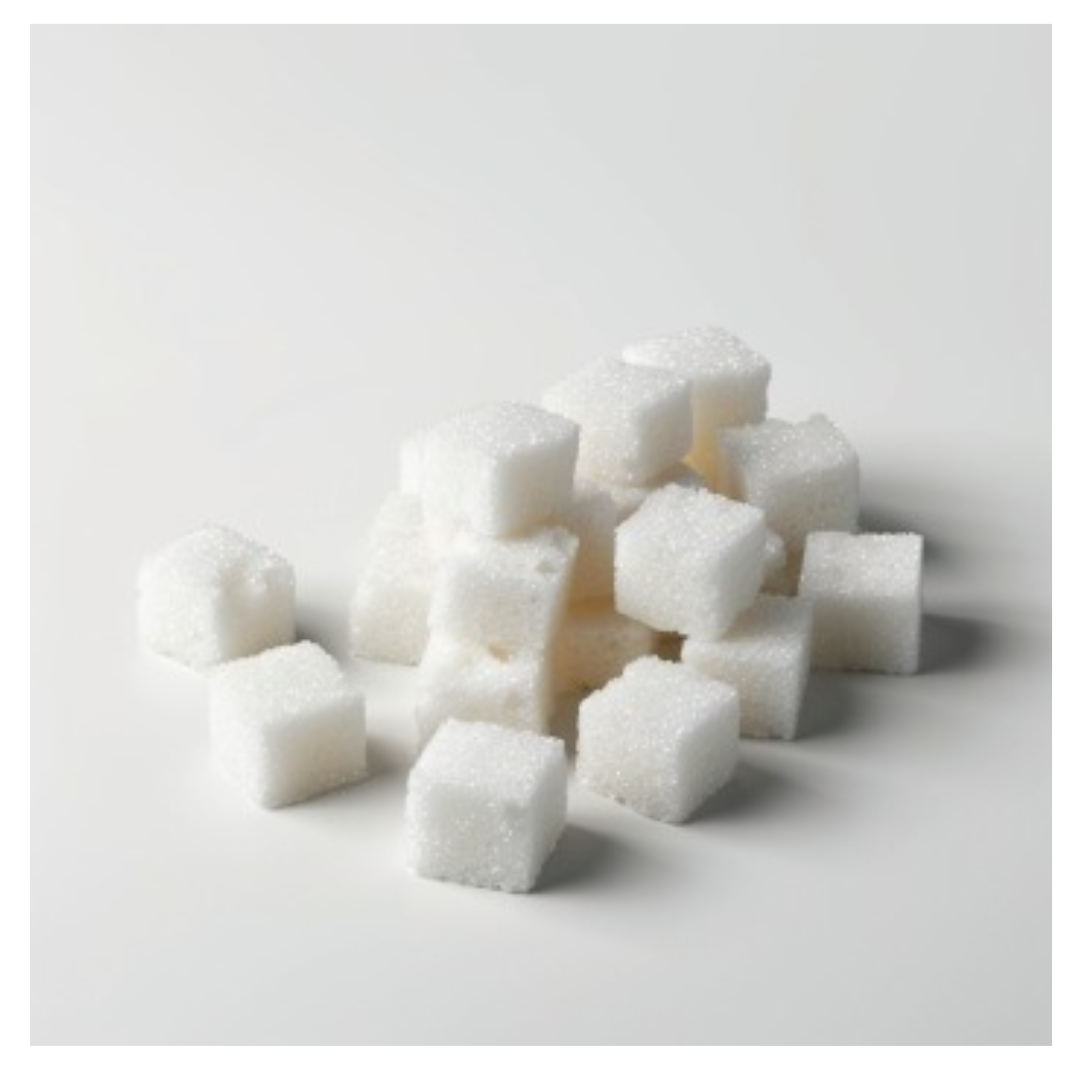 흑염소와 관련된 사진입니다.