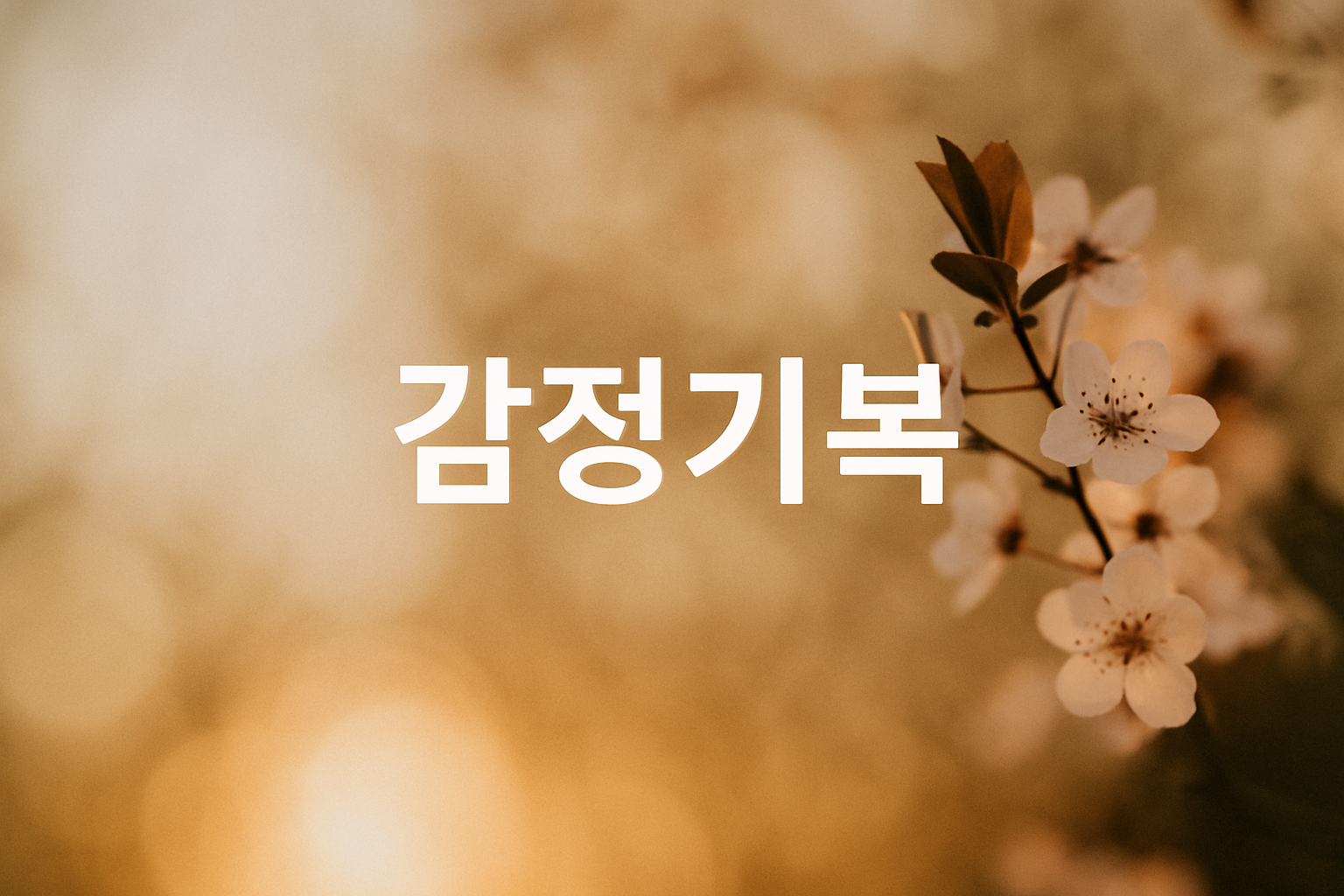 감정기복다루기 관련 이미지