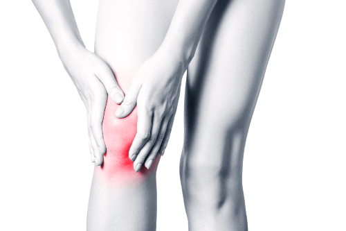 콘드로이친 효능 부작용