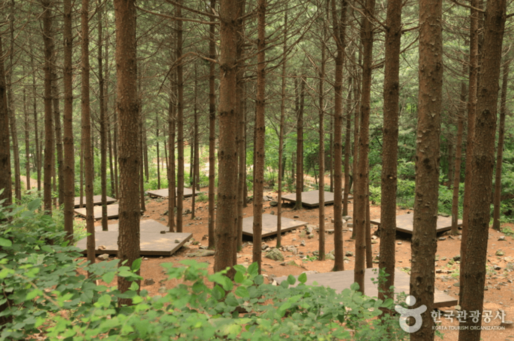 국립 산음 자연휴양림