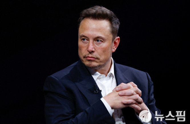 일론 머스크 테슬라 최고경영자(CEO)