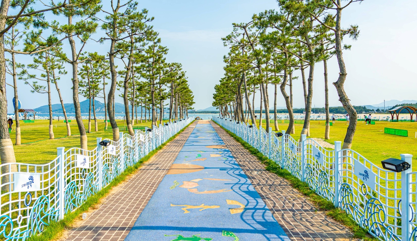 영덕 고래불해수욕장