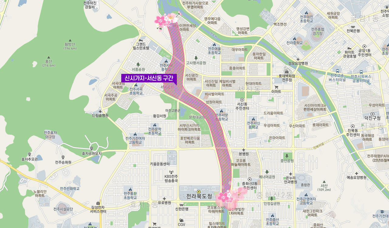 전주여행 가볼만한 곳 베스트10_ 05. 전주천 벚꽃길 & 오목대 벚꽃길 (숨은명소, 추천시간대, 주차, 벚꽃축제)