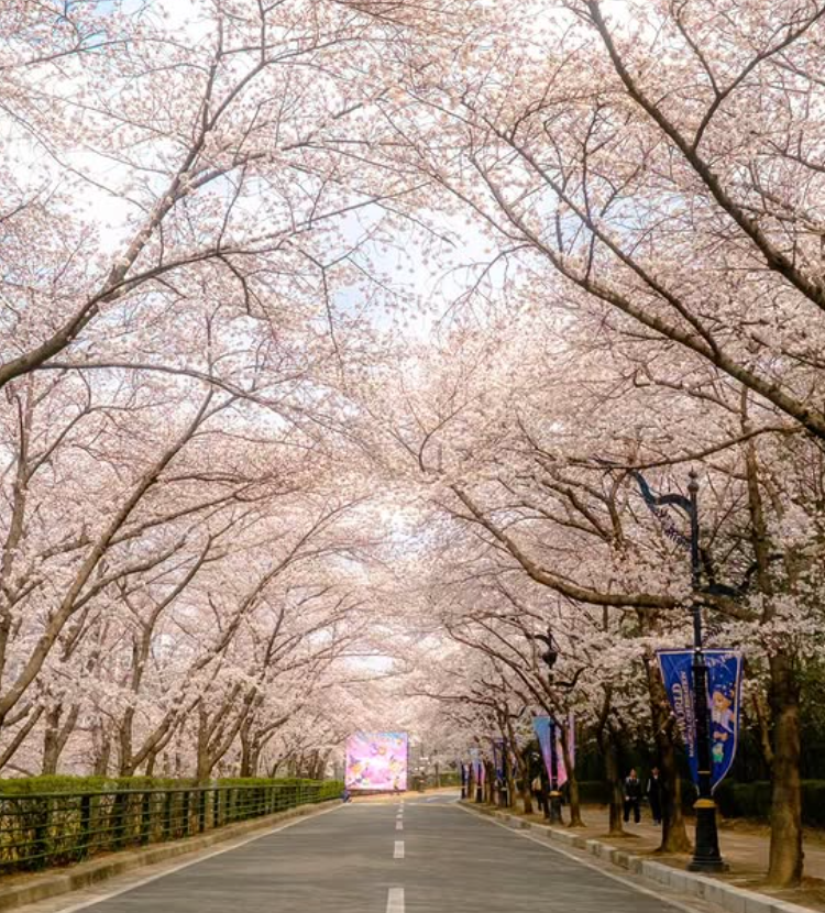 대구 이월드 자유이용권 할인