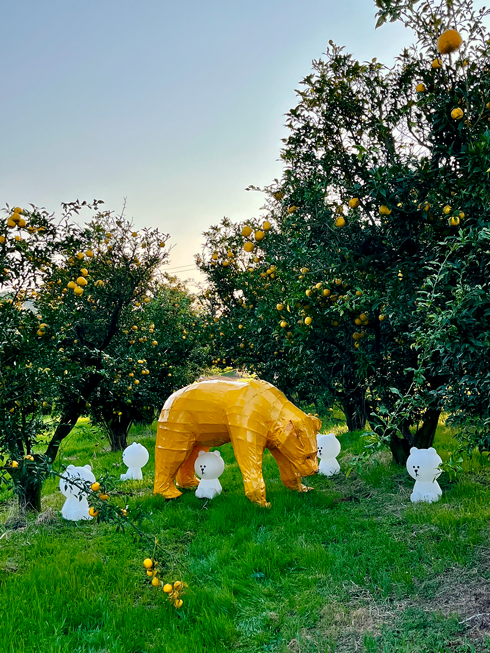 2024 고흥 유자 축제