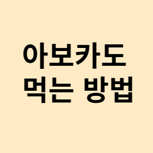 아보카도 먹는 방법