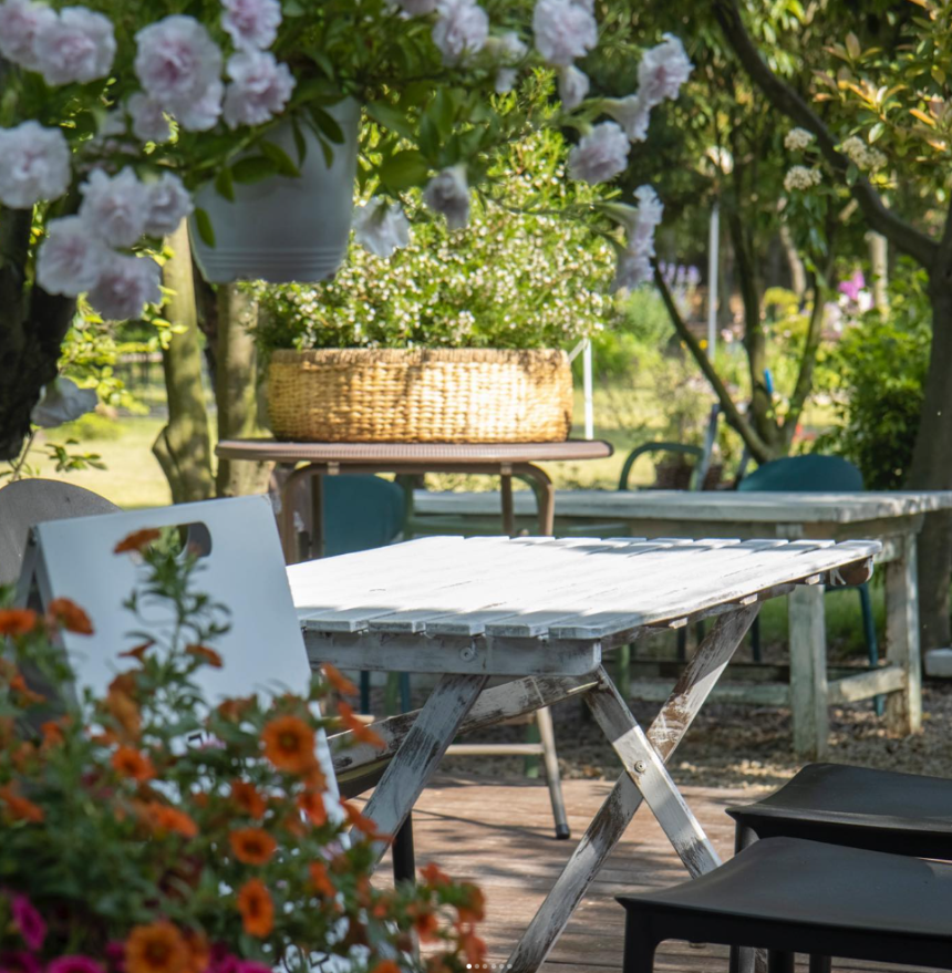 특색있고 아름다운 민간 정원 30선 추천 여행 - 11. 경주 야생화일기 정원