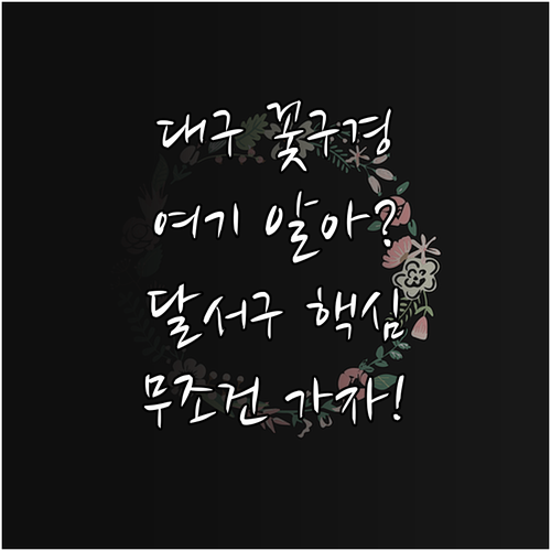 3월 대구 여행 코스 달서구 봄꽃 명..