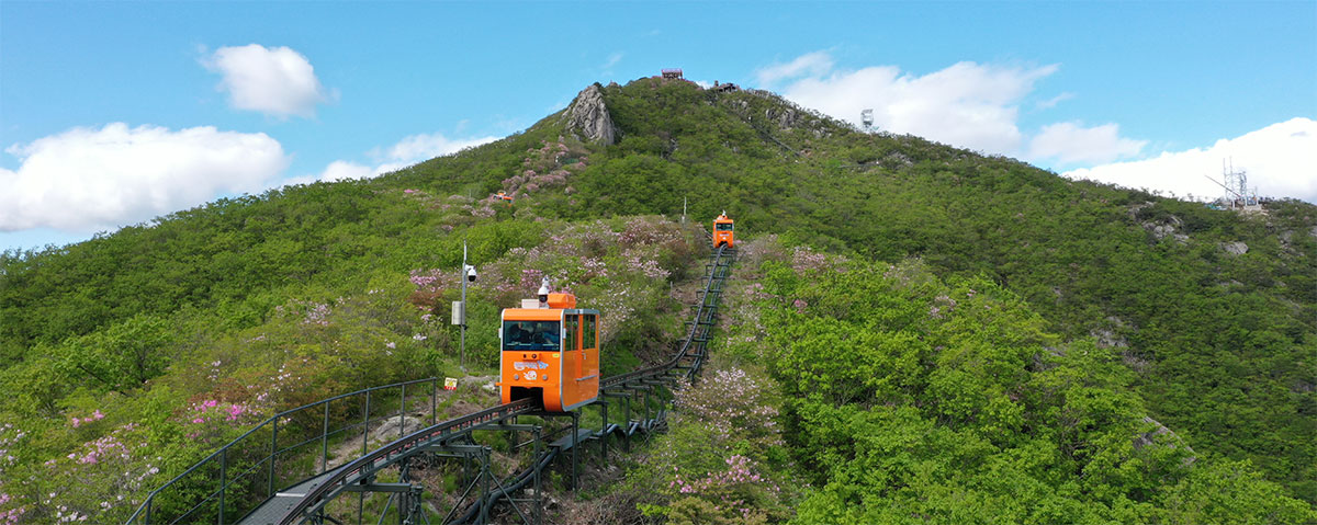 대봉산 모노레일 이미지