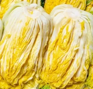 절임배추 포기수