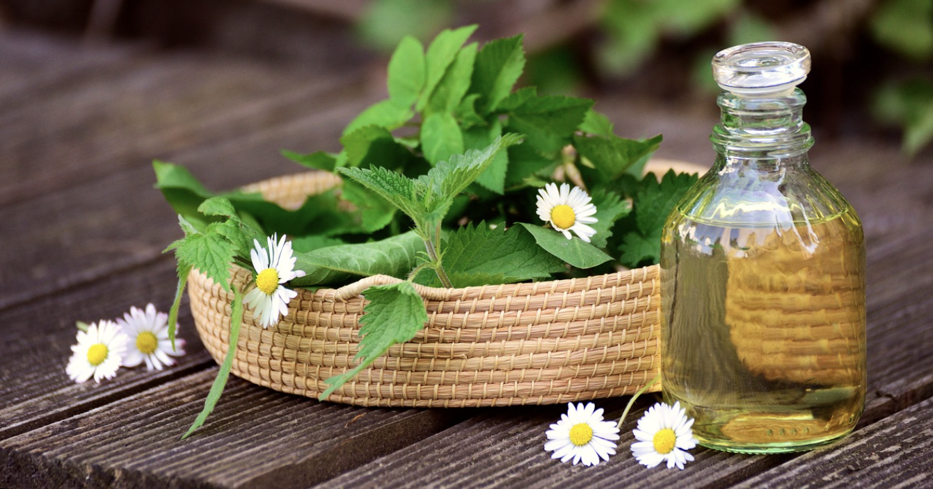 실내 허브 가드닝 – 향기롭고 유용한 허브 키우기