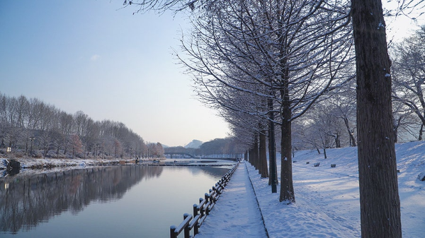 전라도 겨울 트레킹 명소 BEST 5, 남도에서 만나는 고요한 숲길 여행