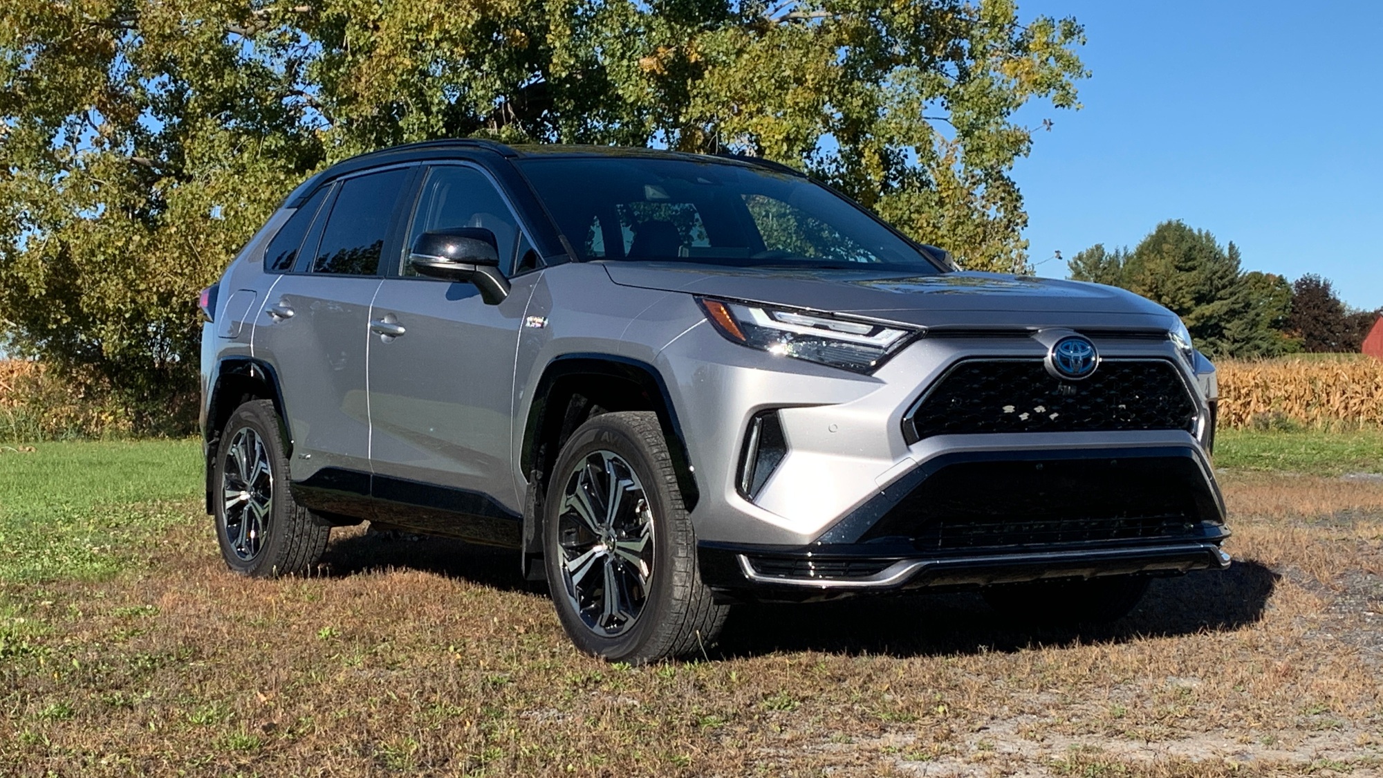 토요타 RAV4