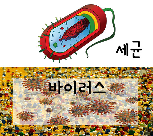 세균과 바이러스의 차이점과 구별방법 및 예방방법&#44; 세균이란?&#44; 바이러스란?&#44; 세균과 바이러스 구별방법 4가지&#44; 세균과 바이러스 질환은?&#44; 세균과 바이러스 예방방법