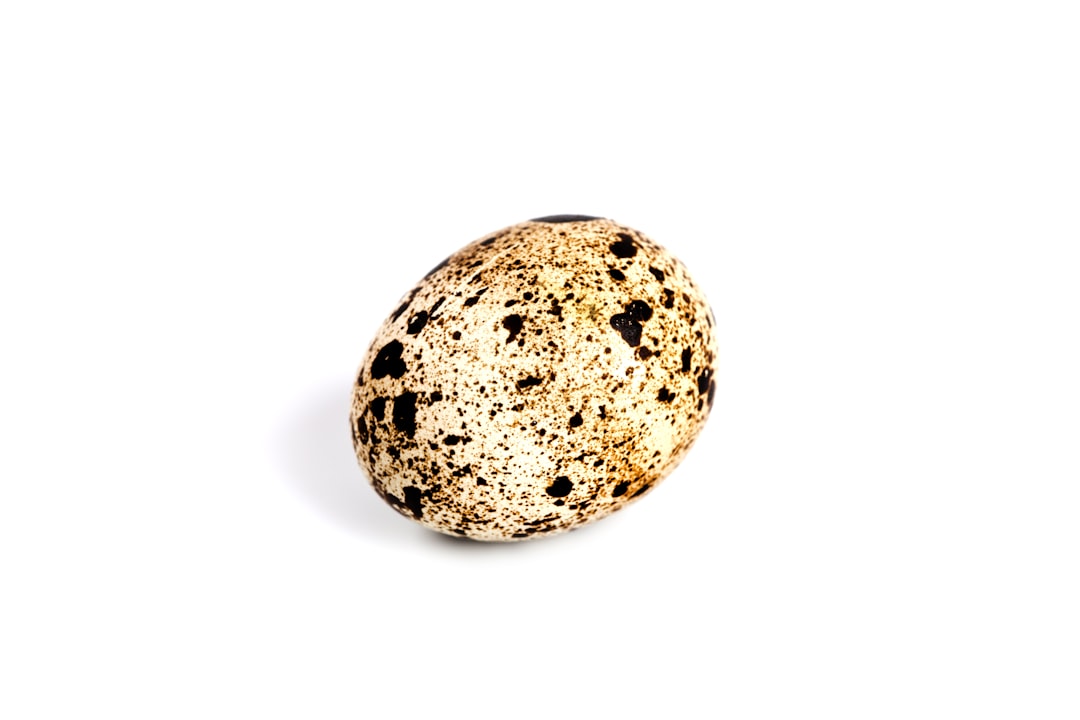 Quail egg