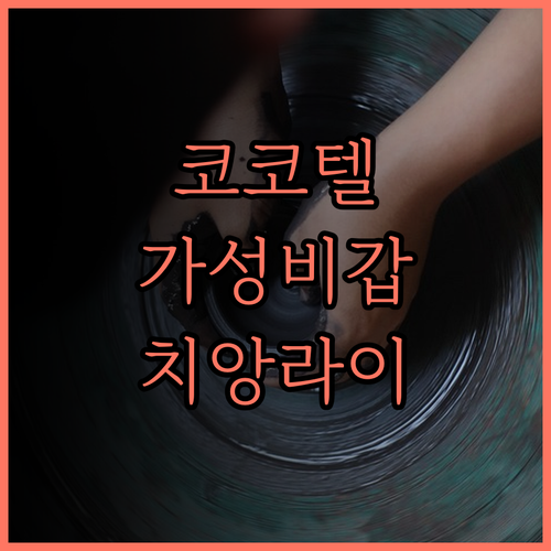 코코텔 치앙 라이 공항 스위트 가성비