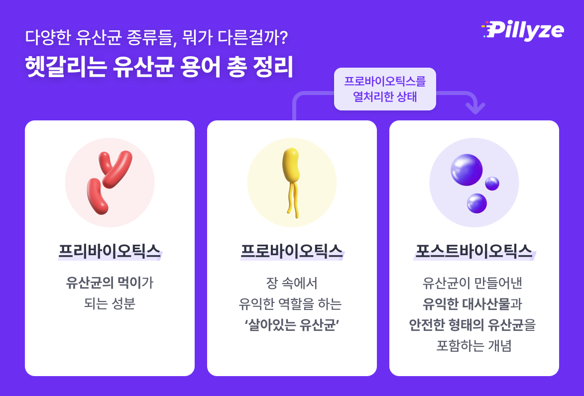 프로바이오틱스 가루