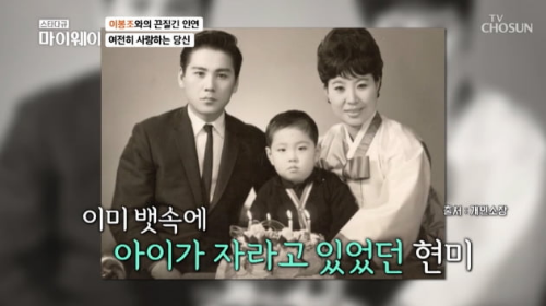 현미 가족