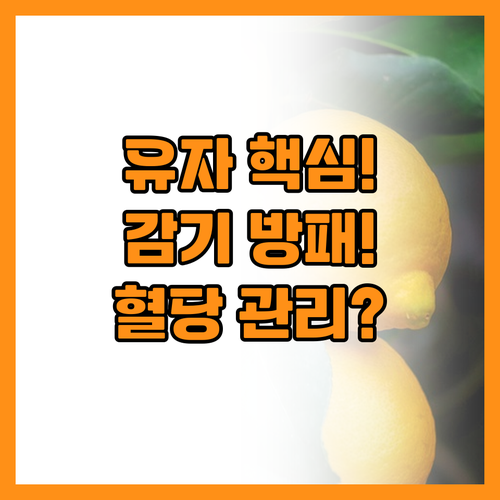 유자차 비타민C와 펙틴으로 감기 방어..