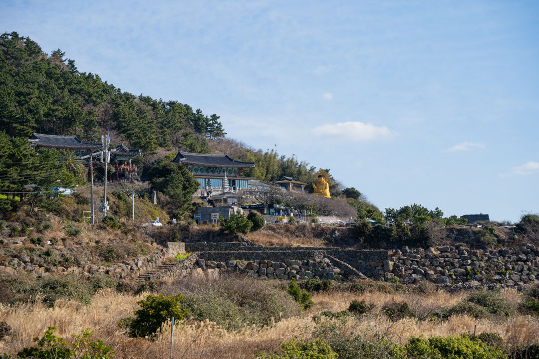 산방산 유채꽃 주차장
