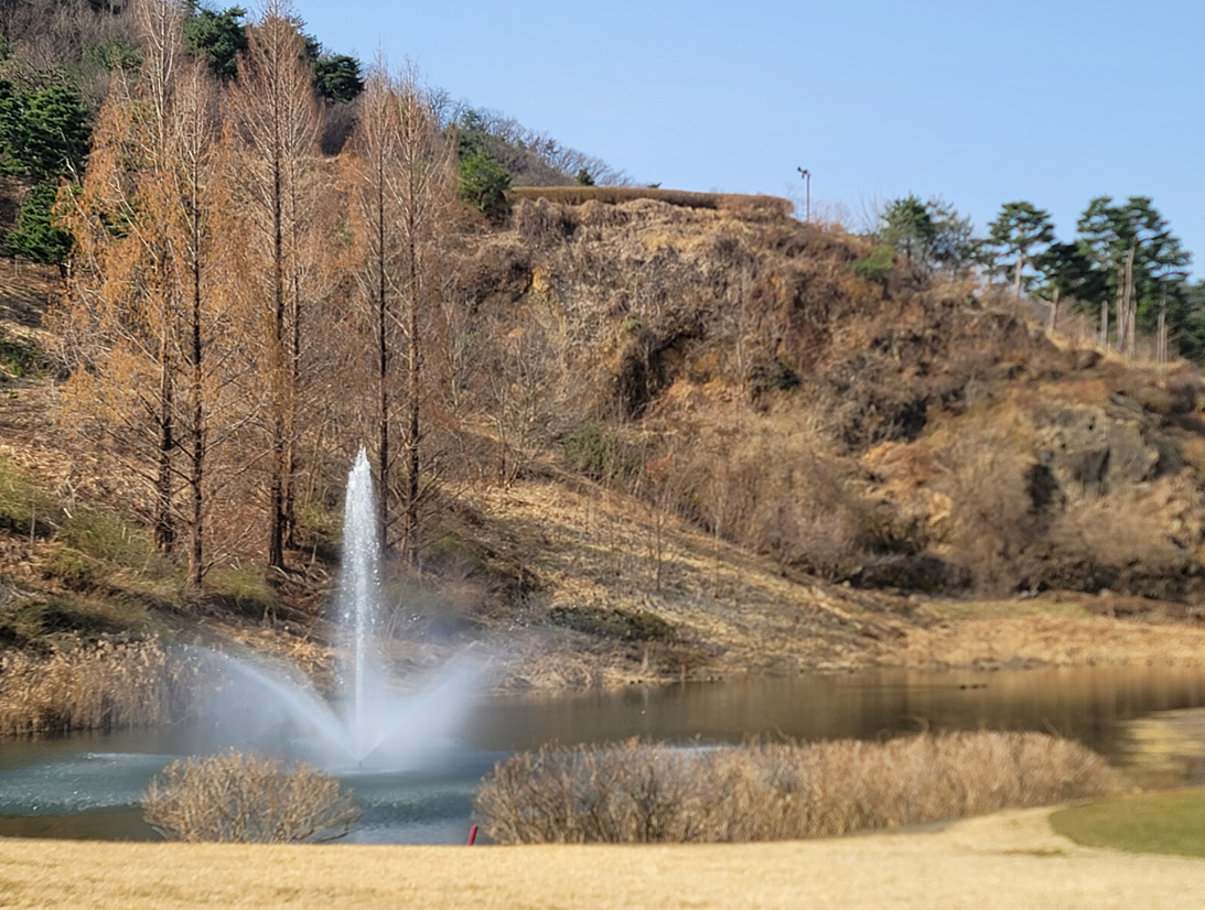 2025년 KLPGA 유일 변형 스테이블포드 대회 총정리