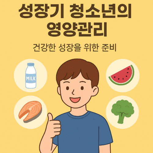 성장기 청소년의 영양관리