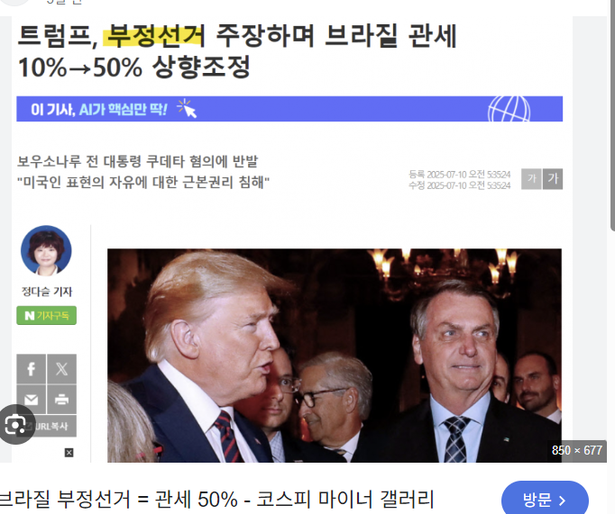 브라질 관세