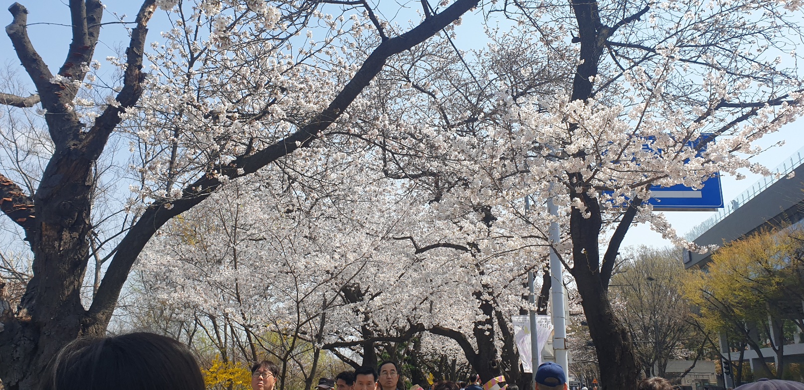 갑상선 기능저하증 초기증상 7가지 총정리(검사비용 포함)