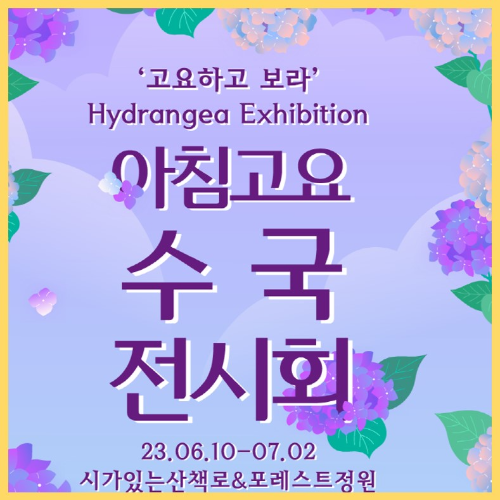 아침고요 수국 전시회