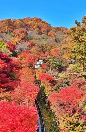 화담숲 모노레일