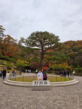 화담숲 예약하기 예약 방법 입장료 모노레일_17