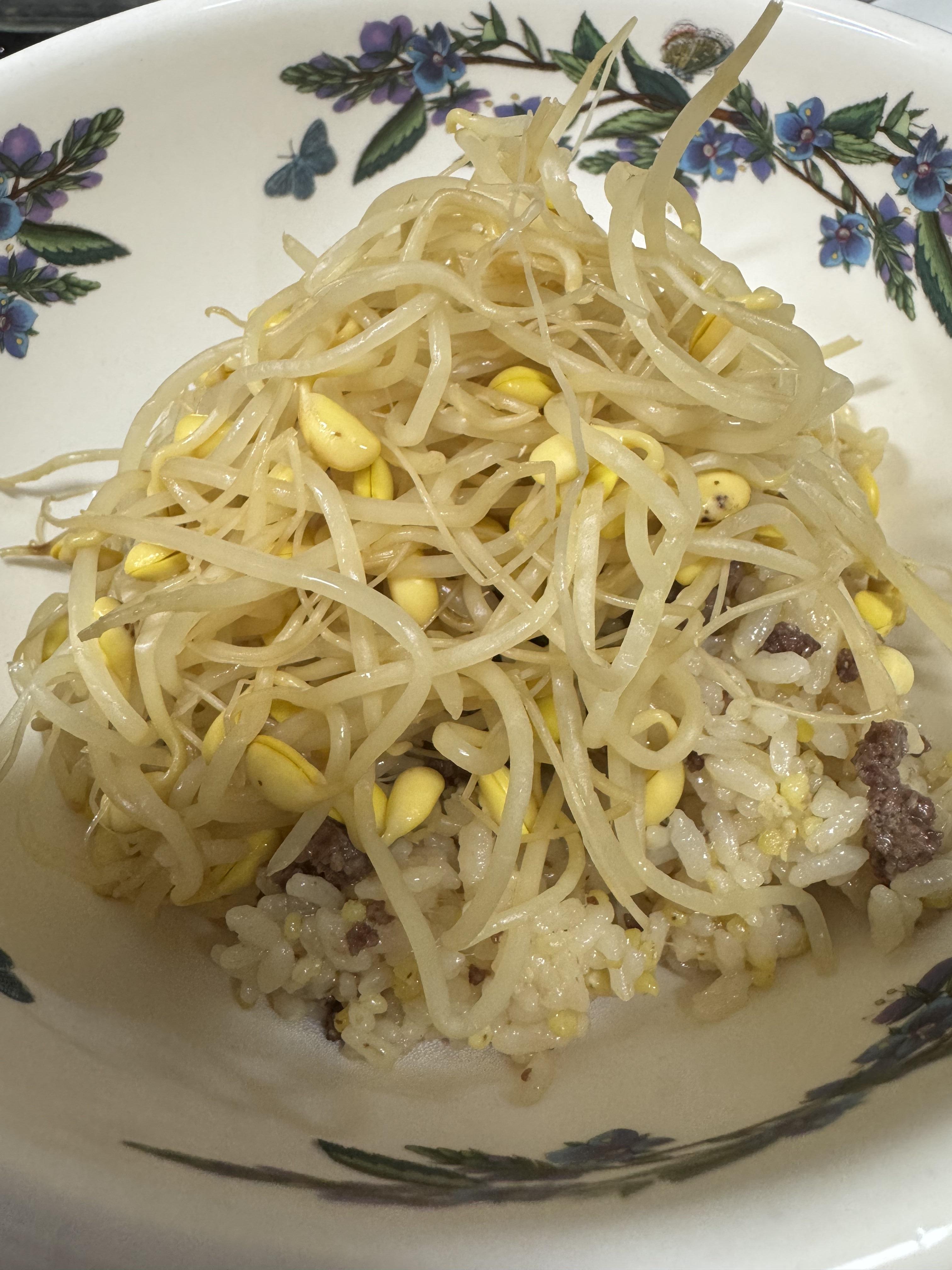 간단한 저녁메뉴